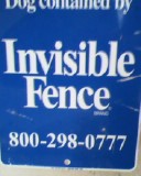 invisiblefence.jpg